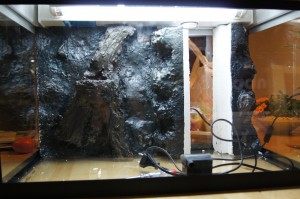 Nach dem ersten Durchgang - trocken Im Aquarium nach dem ersten Durchgang