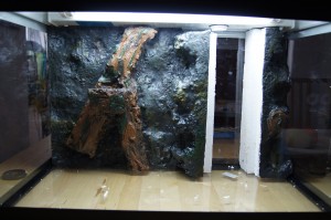 Endgültige Farbgebung Im Aquarium mit endgültiger Farbgebung