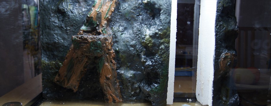 Im Aquarium mit endgültiger Farbgebung