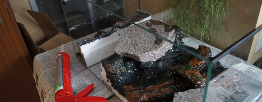 Rückwand im Aquarium
