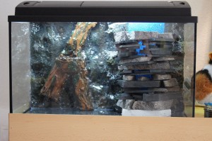 Fertig im Aquarium Ein- und Aufbau ist fertig